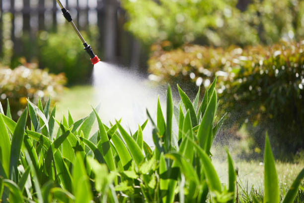 24/7 Emergency Mosquito Control experts in Charlestown, MD